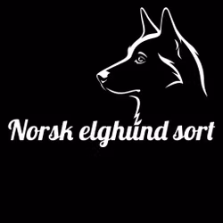 Norsk elghund sort - Bilklistremerke