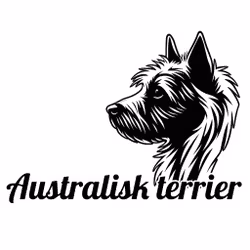 Bildekal - Australisk terrier