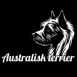 Bildekal - Australisk terrier