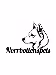 Bildekal Norrbottenspets