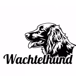 Kampanj - Bildekal Wachtelhund