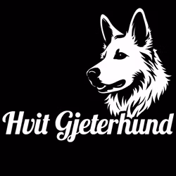 Kampanj - Bildekal - Hvit Gjeterhund