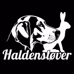 Kampanj - Bildekal- Haldenstøver