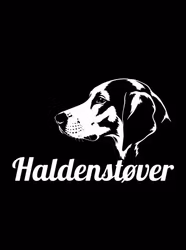 Kampanj - Bildekal- Haldenstøver