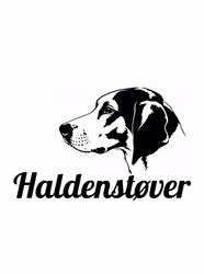 Kampanj - Bildekal- Haldenstøver