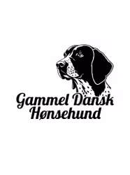 Kampanj - Bildekal - Gammel dansk hønsehund