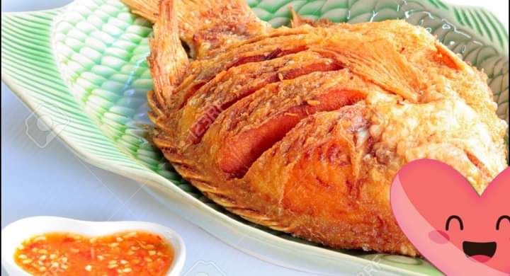 Red Tilapia kg