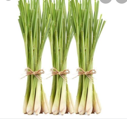 Lemon Grass