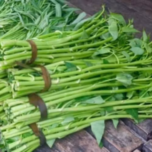 Water spinach