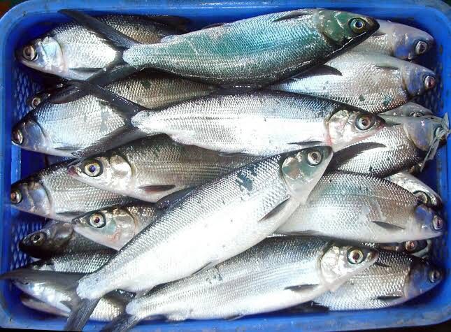 Milk fish /bangus 400g s