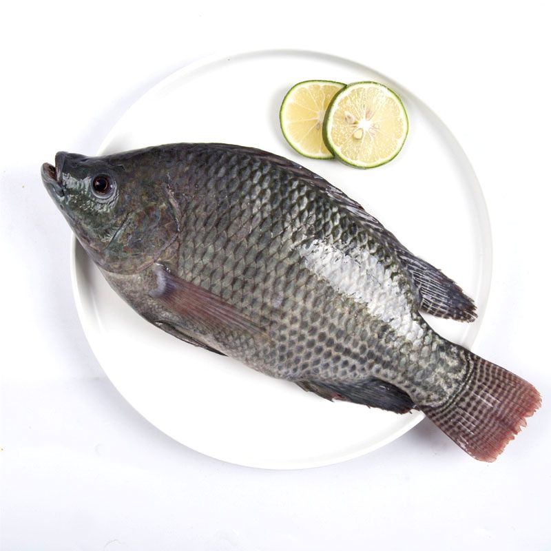 Black tilapia clean 1kg