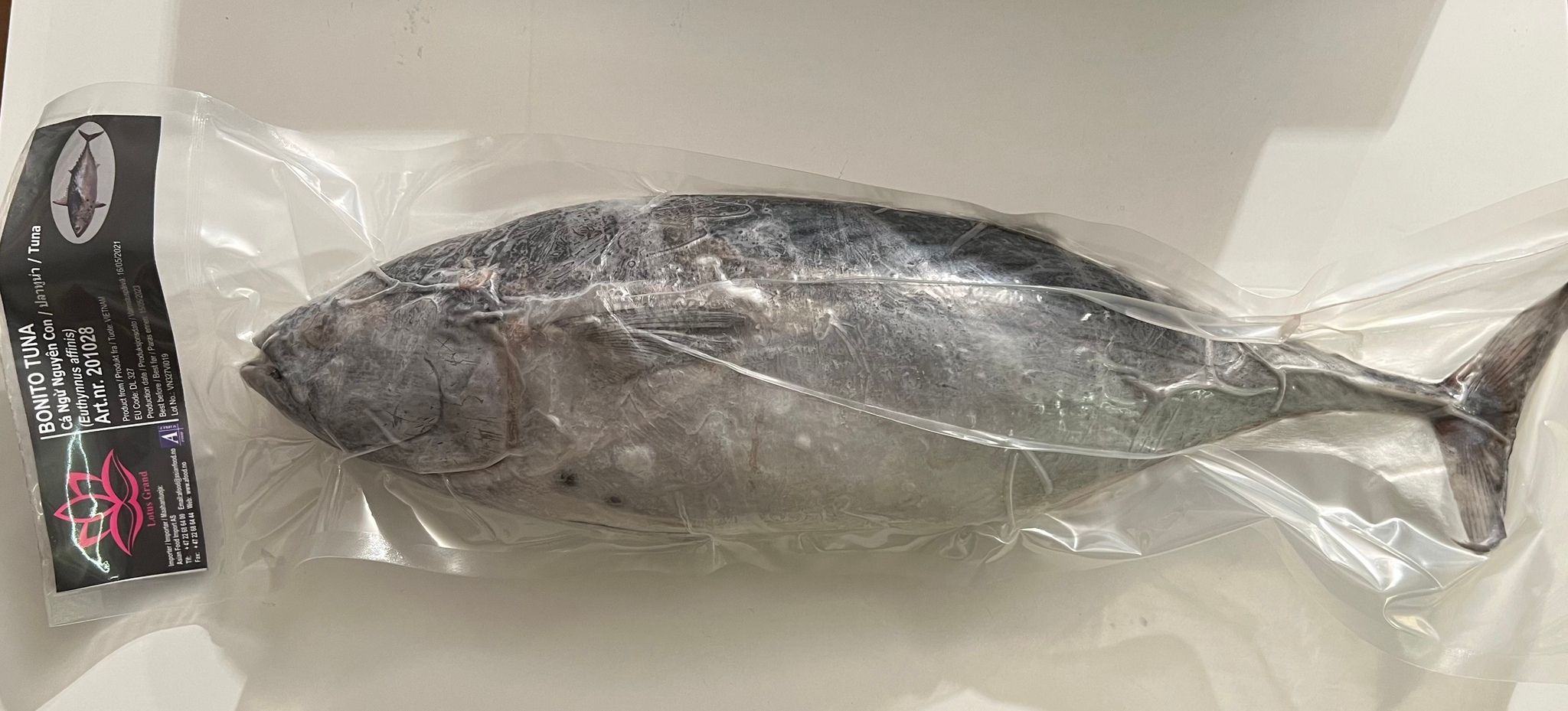 Bonito Tuna whole (1.5kg)