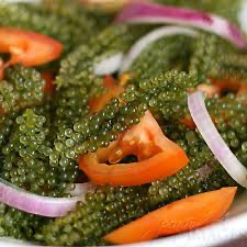 Sea Grapes Super Food from Ocean 79 stk ( ikke på lager )