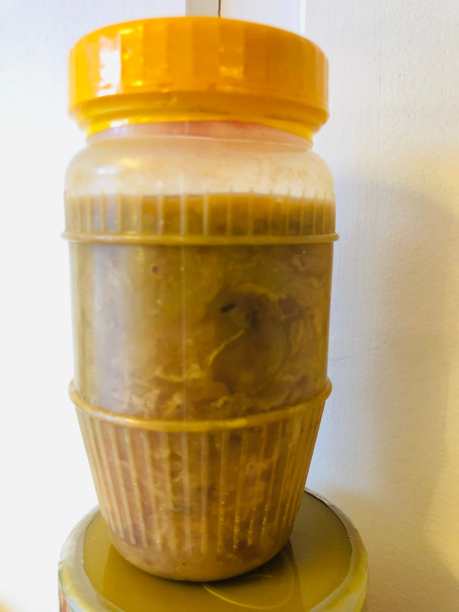 Tognos sisi / oyster200g