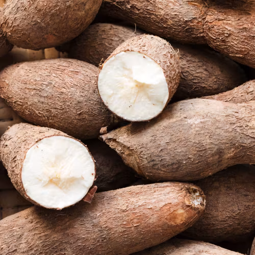 Cassava fresh