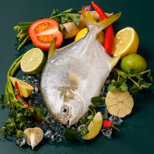 SIDRA INTERNATIONAL FISH / Silver Promfret  400-600