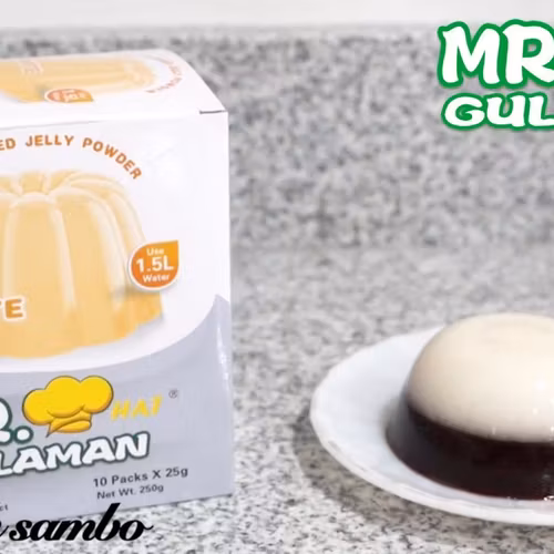 Mr gulaman white 25g