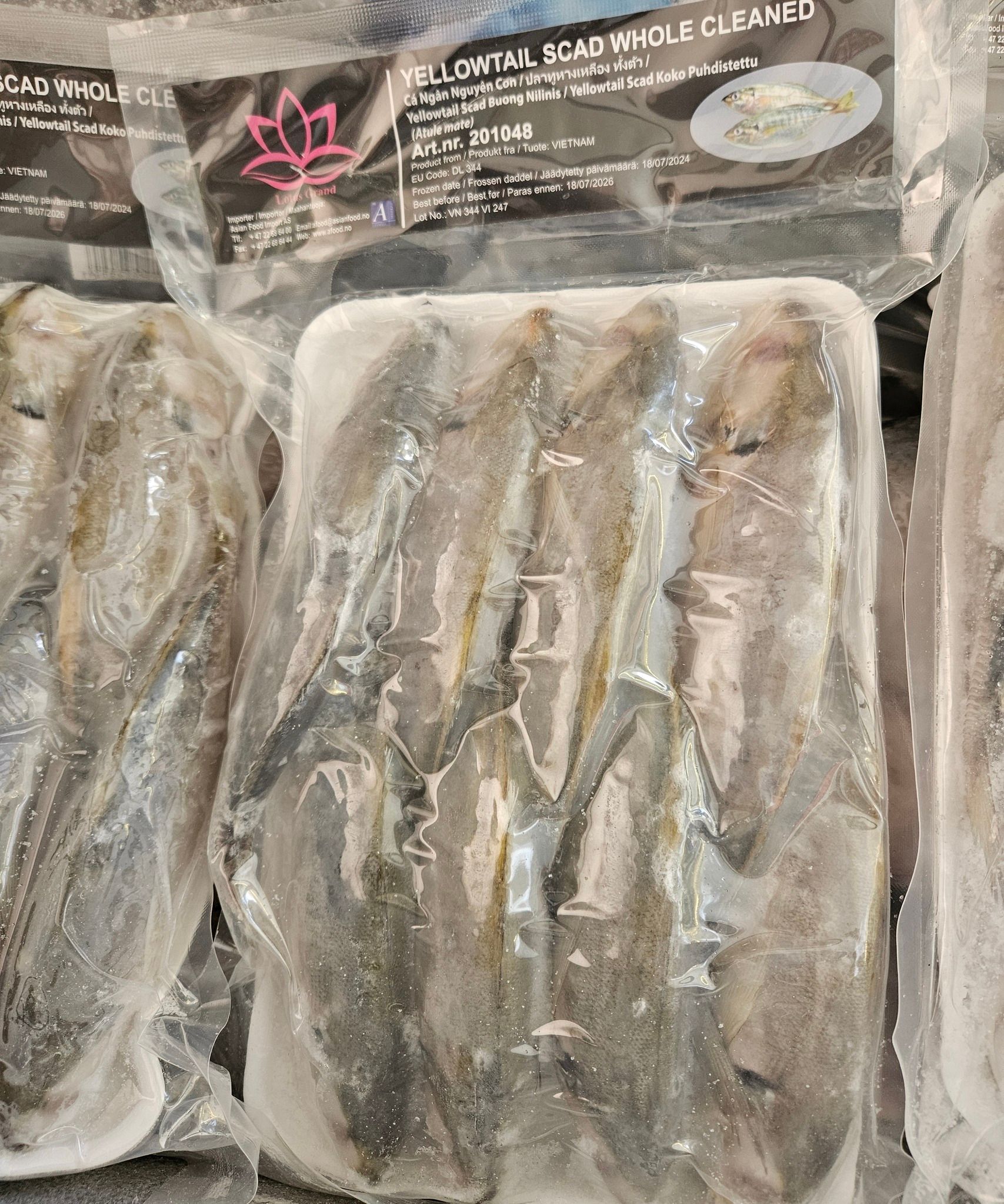 Yellowtail Scad whole clean 1 kg