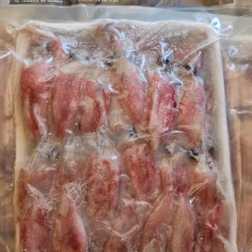 Squid/ whole Round squid 500g