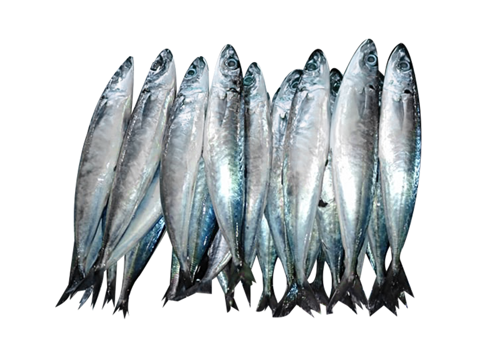 Galong-galong 1kg