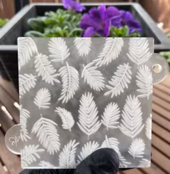 COOKIE EMBOSSER/ Tropical leaves texture