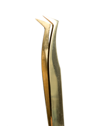 Scandic Beauty - Straight L