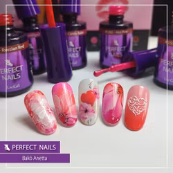 Perfect Nails - Lipstick kit