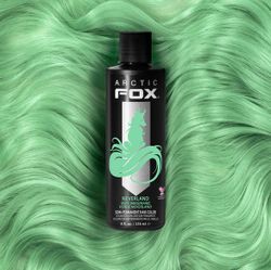 Arctic Fox Neverland