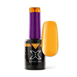 Perfect Nails LaQ X 042