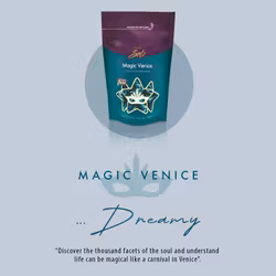 ItalWax Magic Venice 100g refill