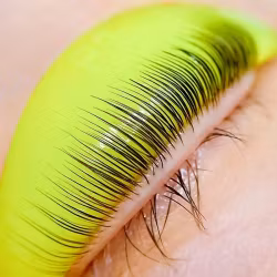 Shields - Multicolour