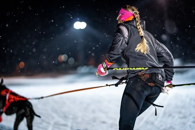 Bälte LØYPE  Non-Stop Dogwear