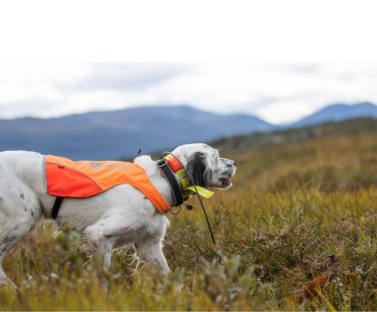 Hundtäcke Protector cover Non-Stop Dogwear