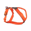 Non-Stop Dogwear 5,0