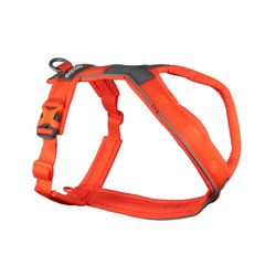 Non-Stop Dogwear 5,0