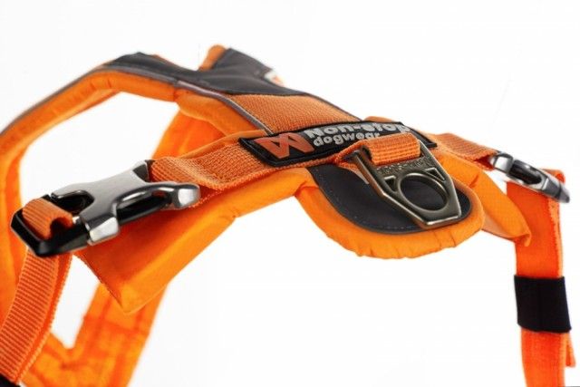 Non-Stop Dogwear 5,0