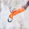 Cruise Collar Hund Halsband Non-Stop Dogwear