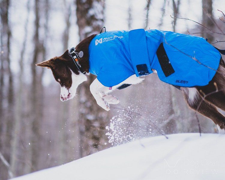 Täcke Bleist Jacket Non-Stop Dogwear