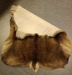 Renskinn Beredda Inomhus