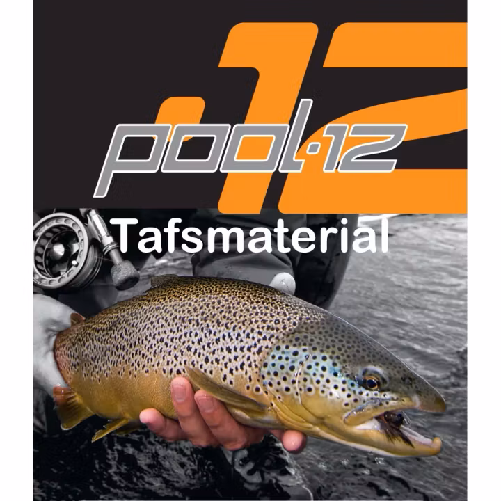 Pool 12 tafsmaterial
