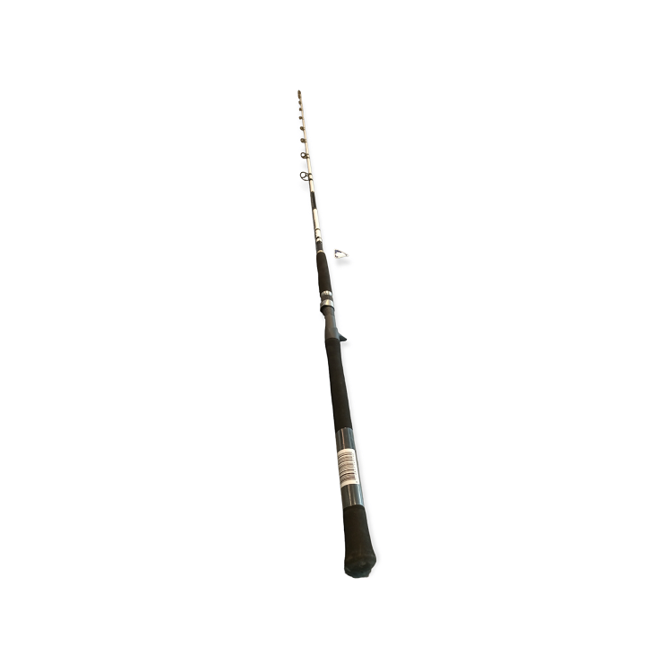 SPRO Salty Beast 7´ cast weight up to 550gr