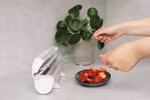 Wrapmaster 800 Orginalet