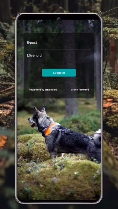Lafayette C40 GPS Hundpejl