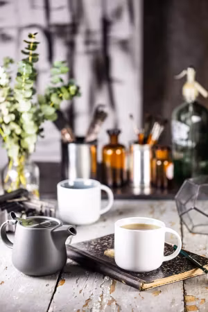 Tint Tekanna Mint 600ml