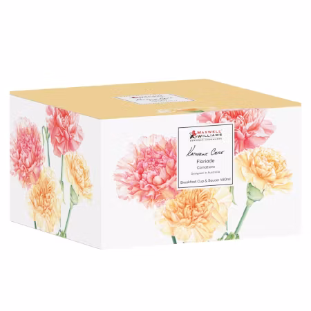 Floraide Kopp & Fat Carnations