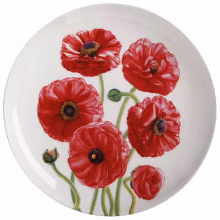 Floriade Tallrik Ranunculus