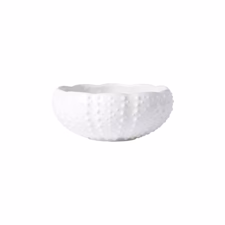 Aparte Urchin Bowl L