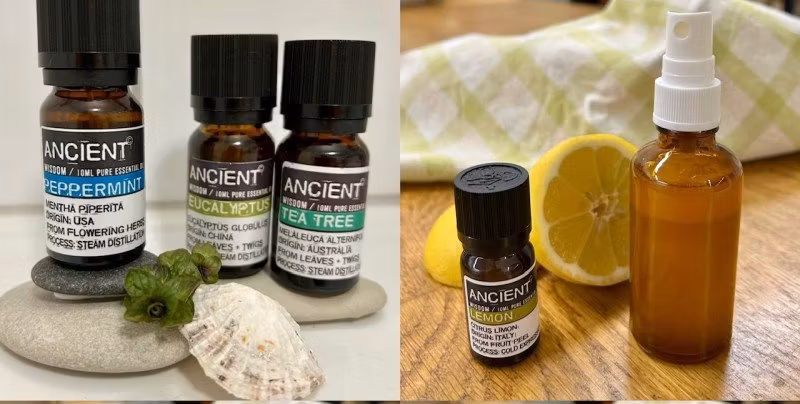 Vårstäda naturligt