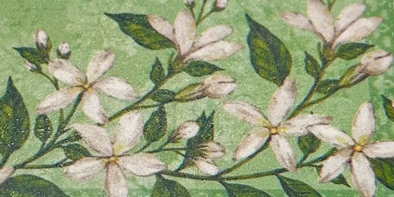 Jasmin - en doft av ren eufori!