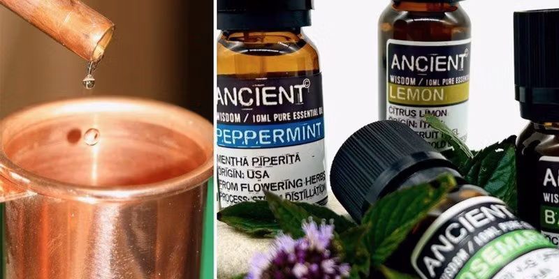 Eterisk olja för fokus och minne